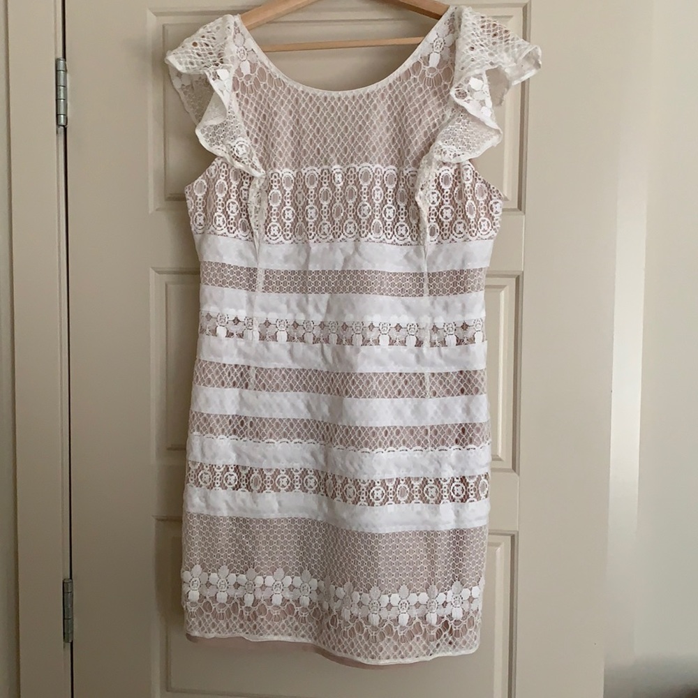 BGBG Max Azaria Blush and White Lace Knee Length Dress Size 12